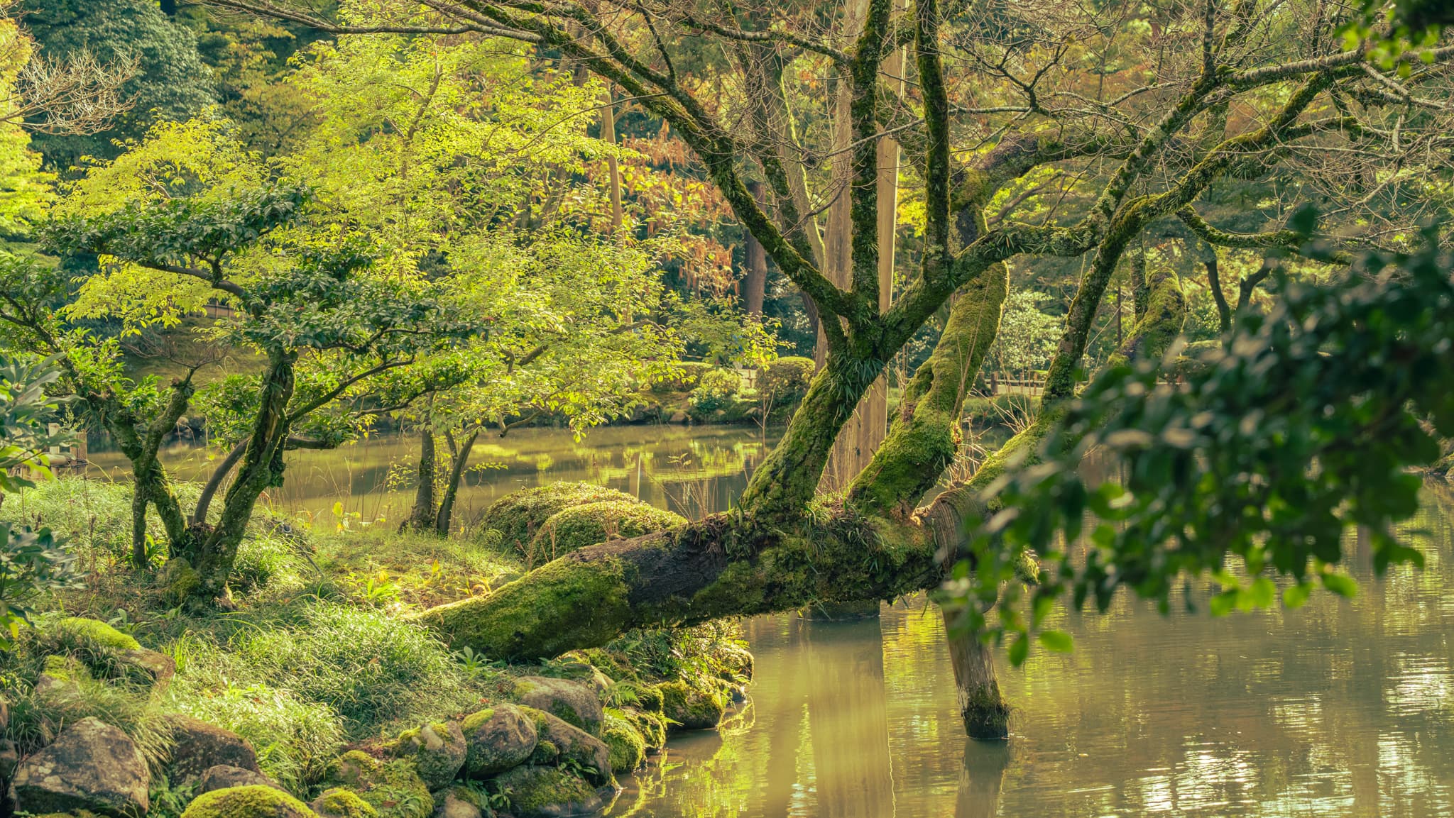 Kenroku-en Garden, Kanazawa