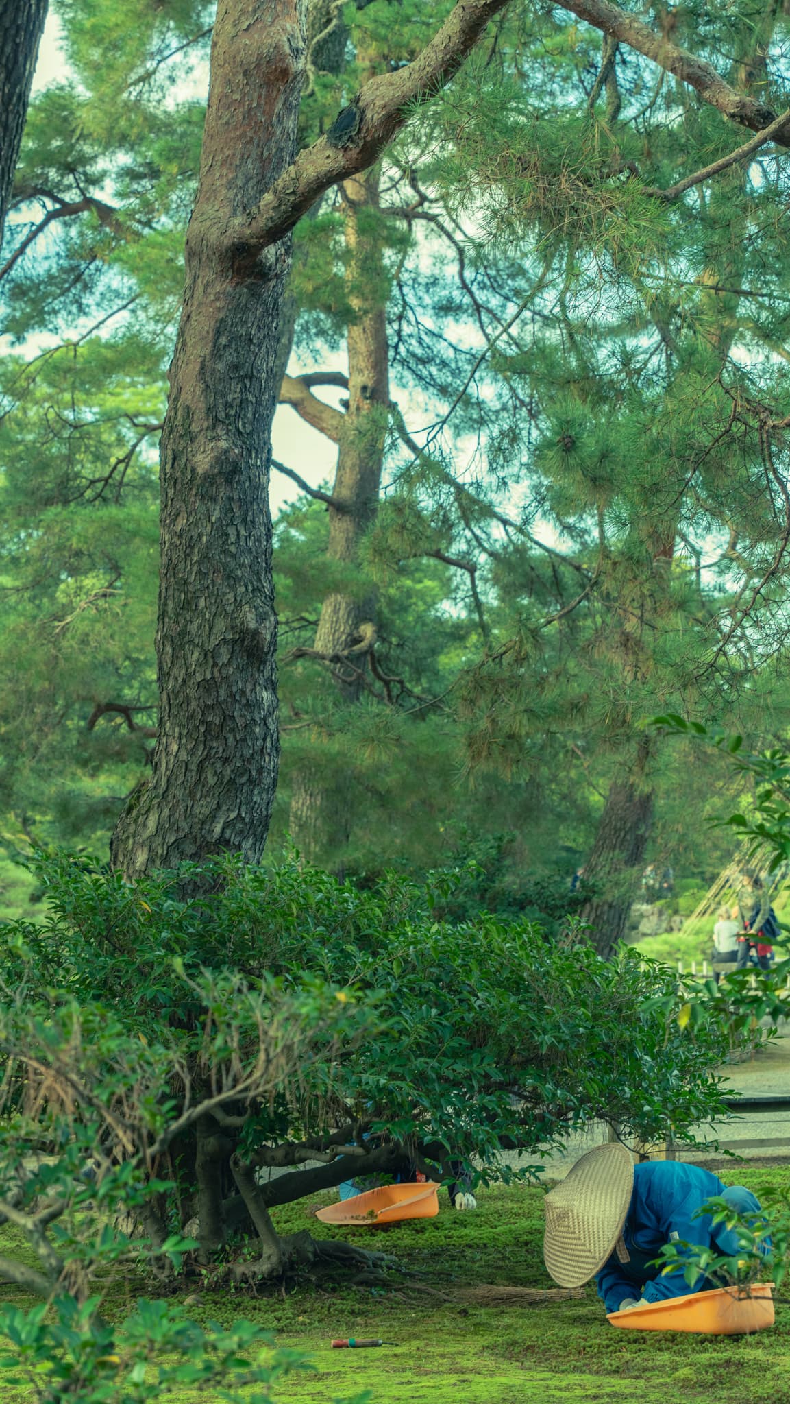 Kenrokuen Photo 25