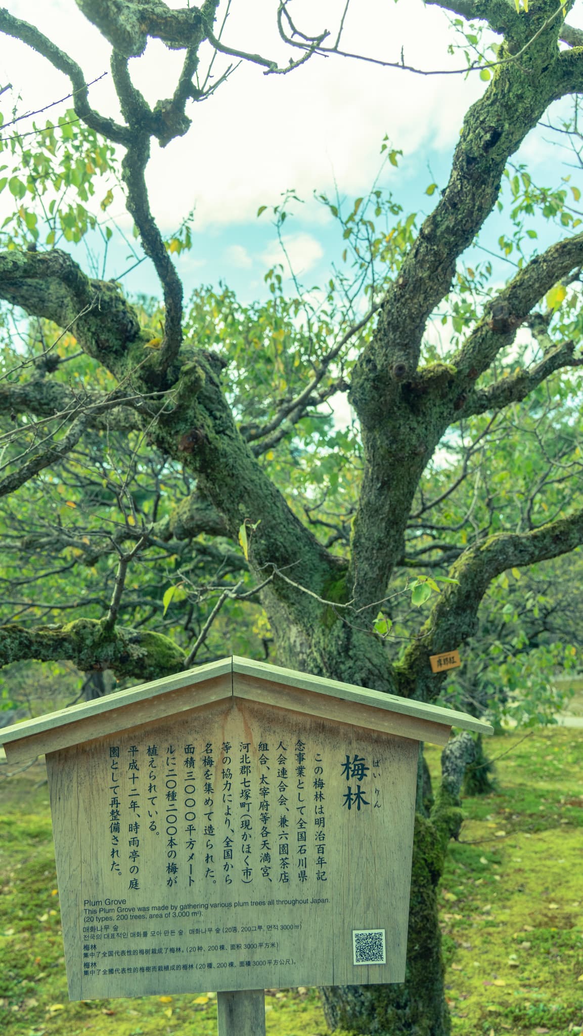 Kenrokuen Photo 26