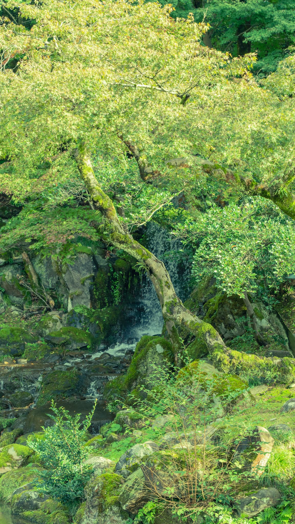 Kenrokuen Photo 16