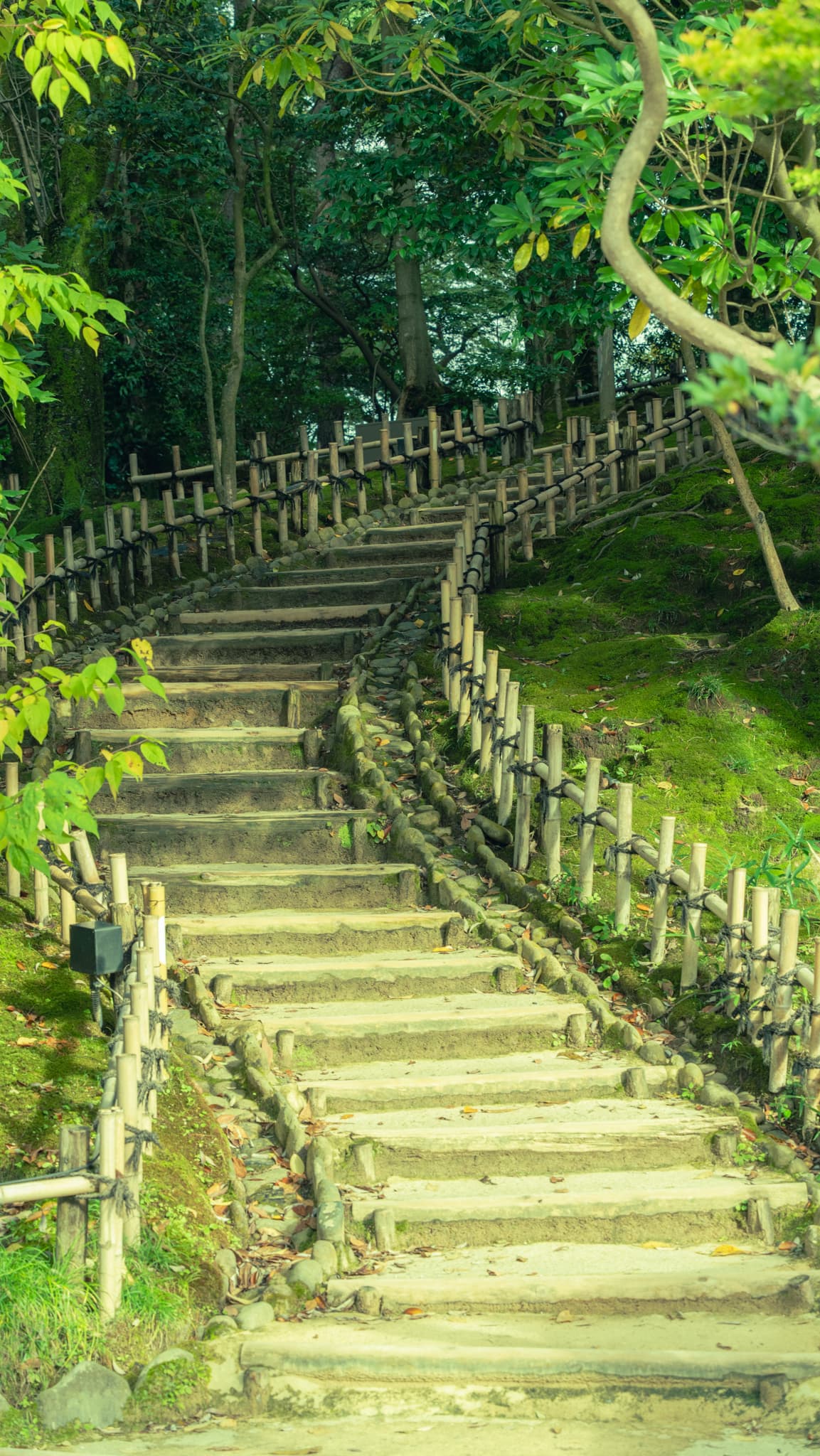 Kenrokuen Photo 17