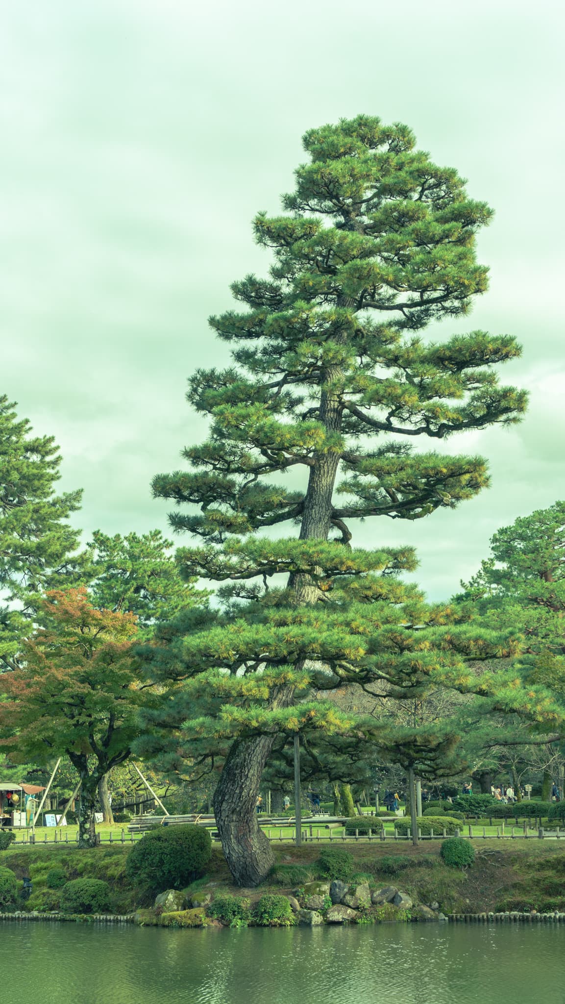 Kenrokuen Photo 19