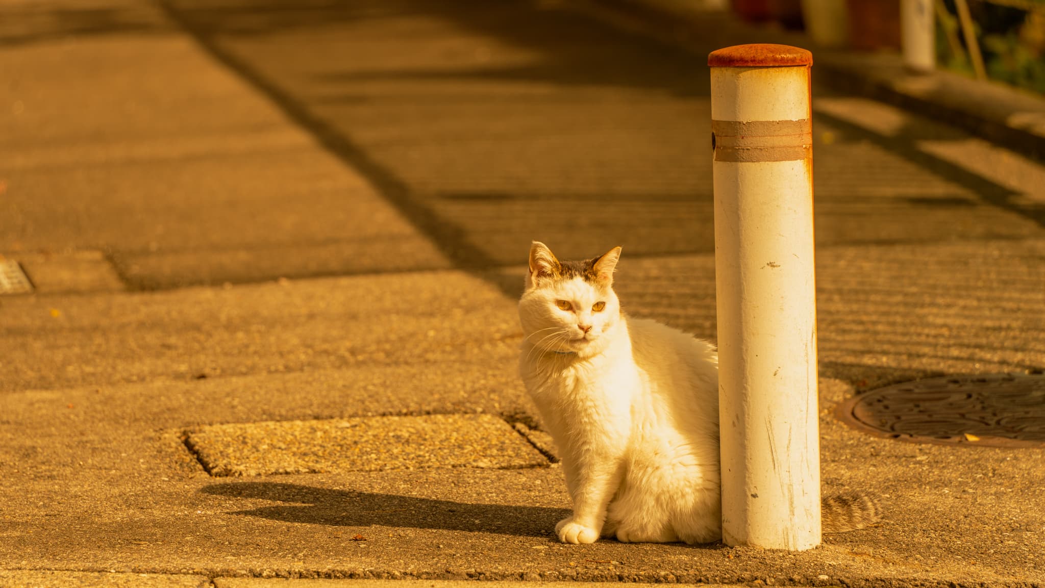Niigata Port, Coast 5th Jetty