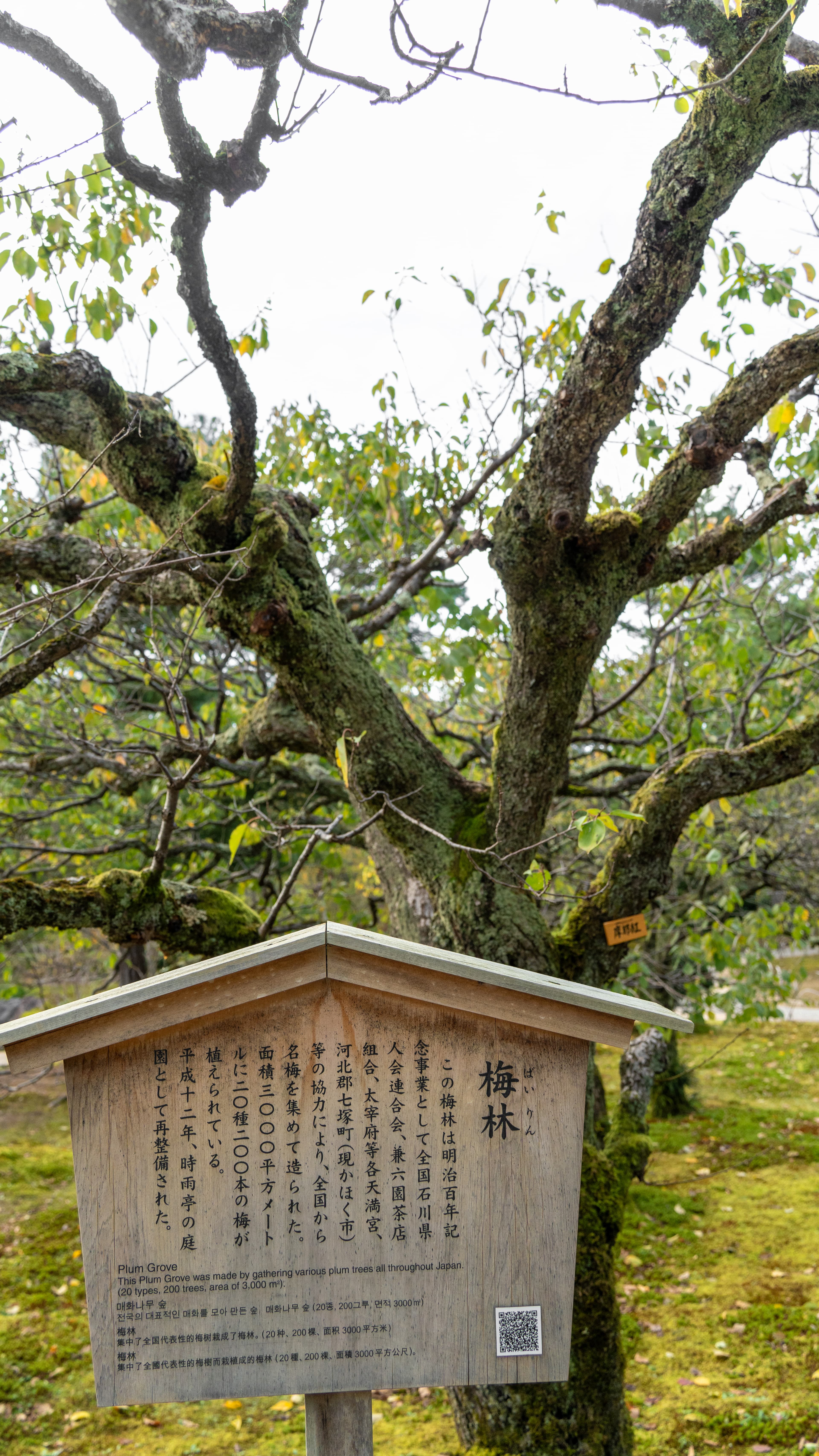 Kenrokuen Photo 26
