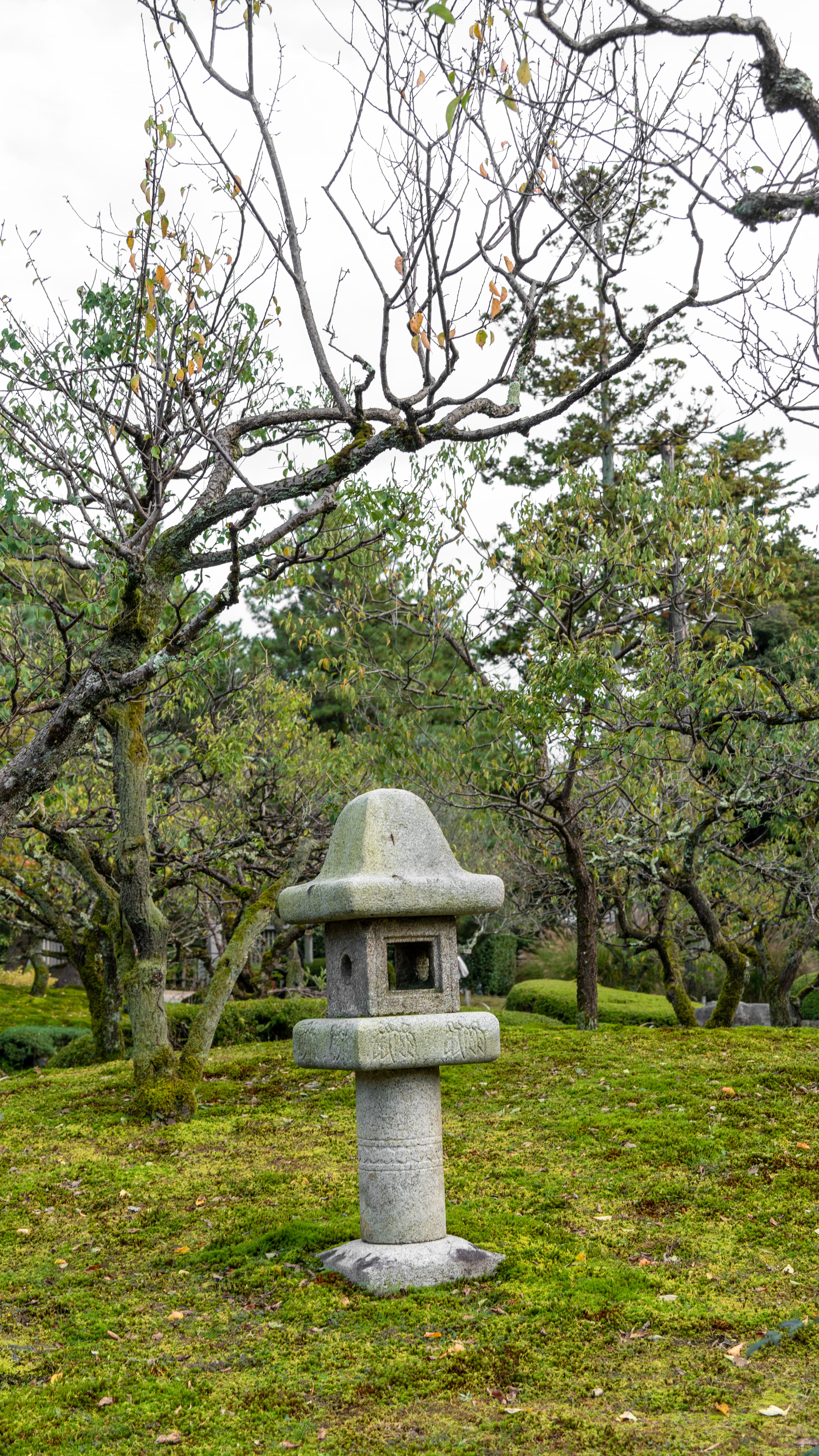 Kenrokuen Photo 28