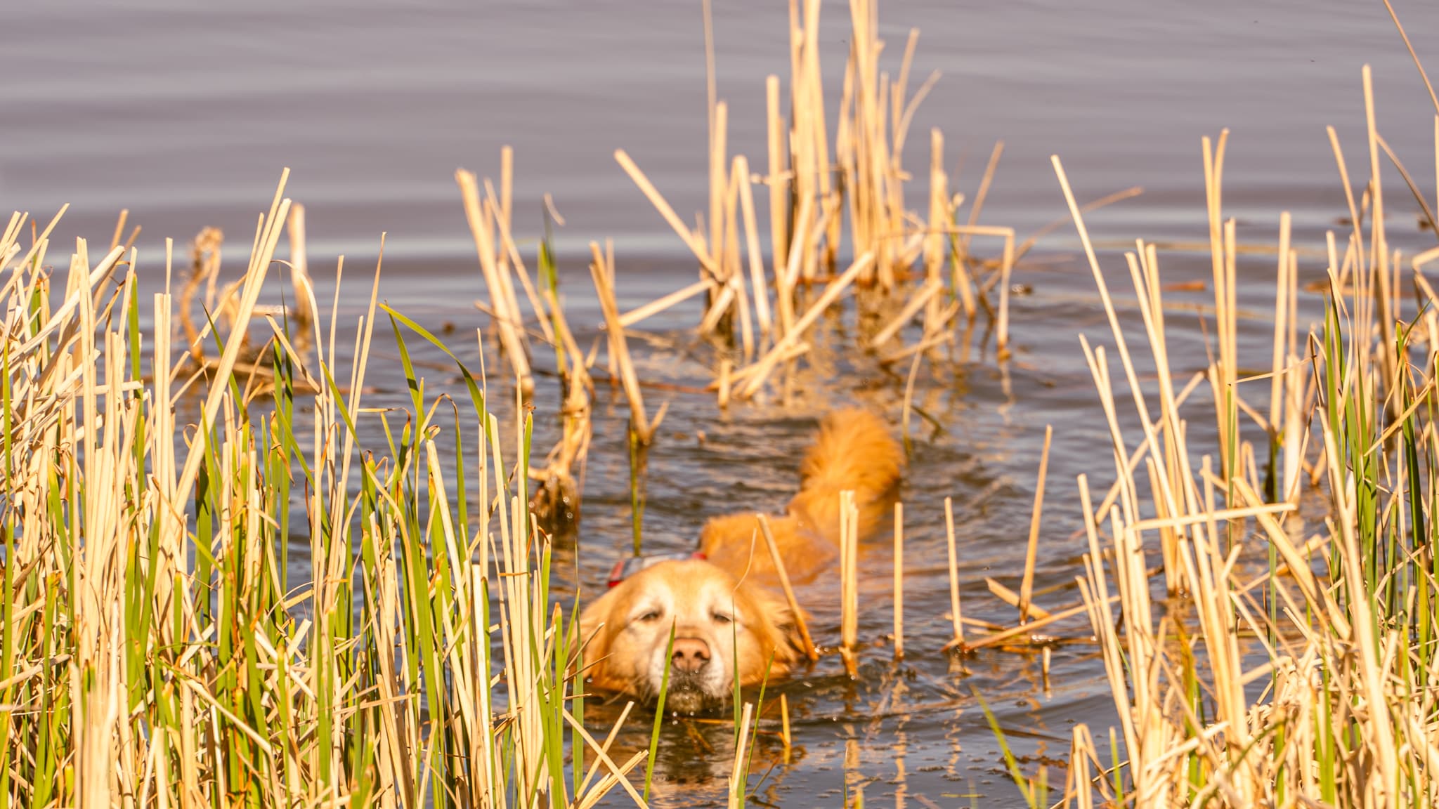 Prom 2025 Hero Image