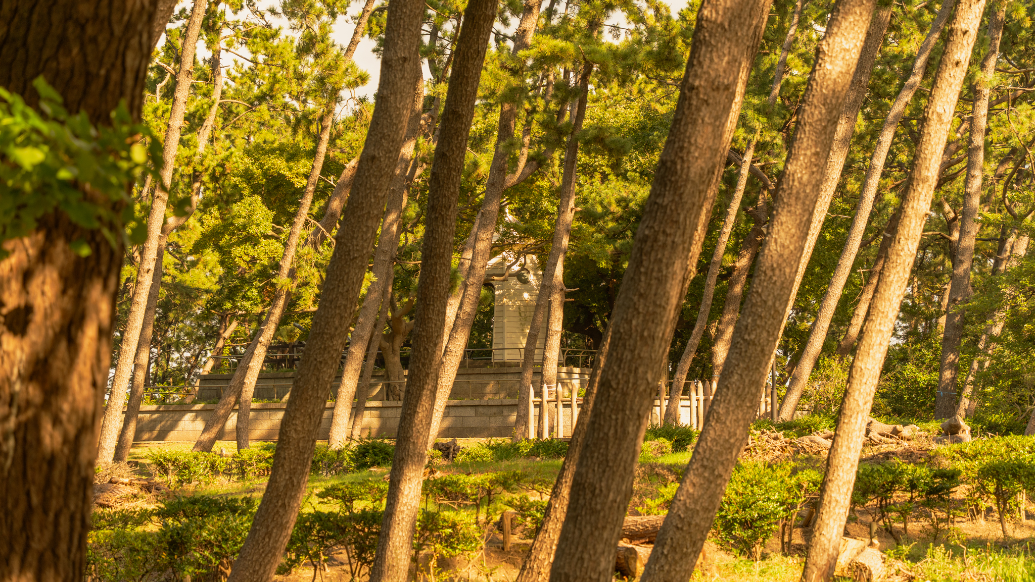 Niigata Photo 3