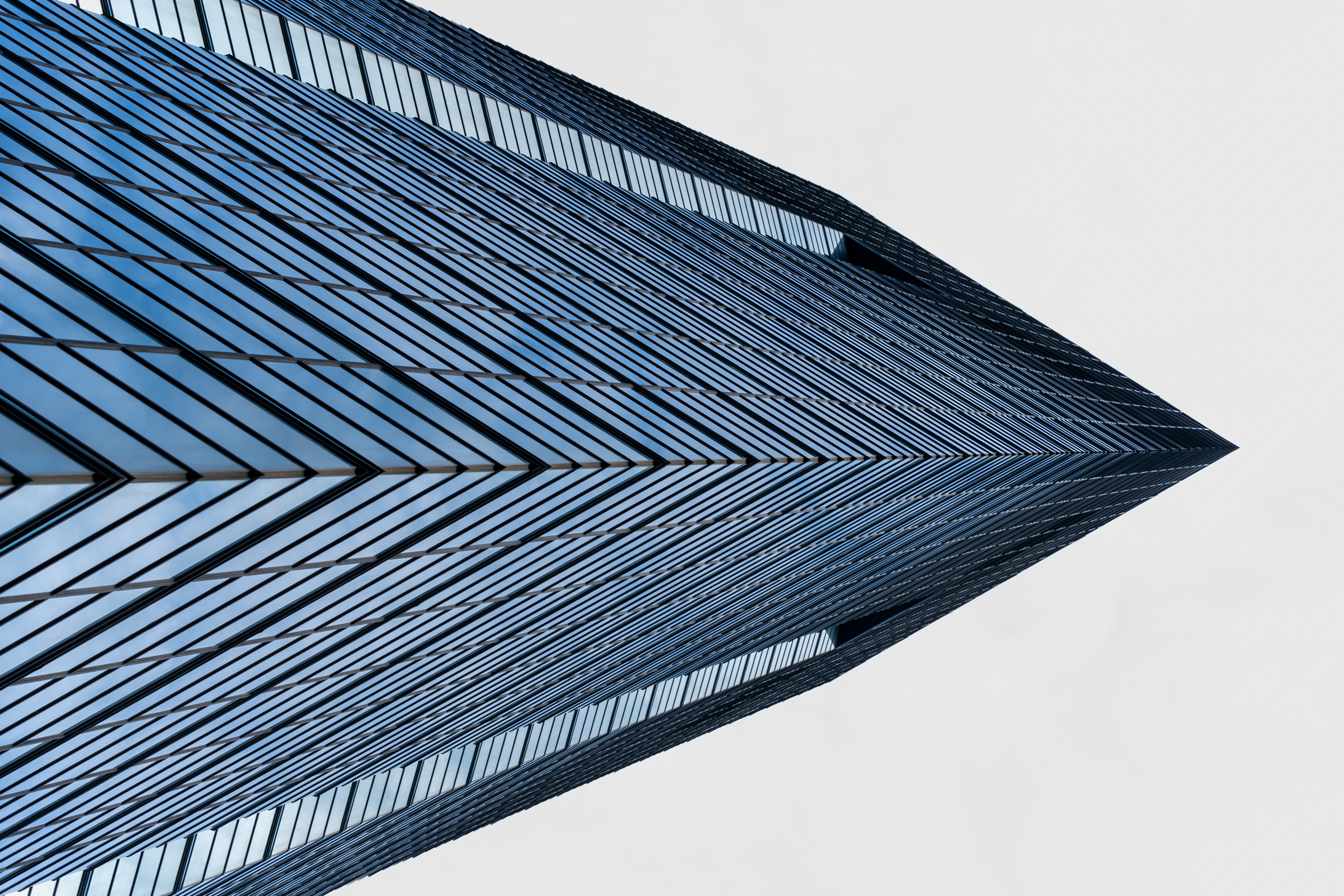 Ryan Angelo's vision