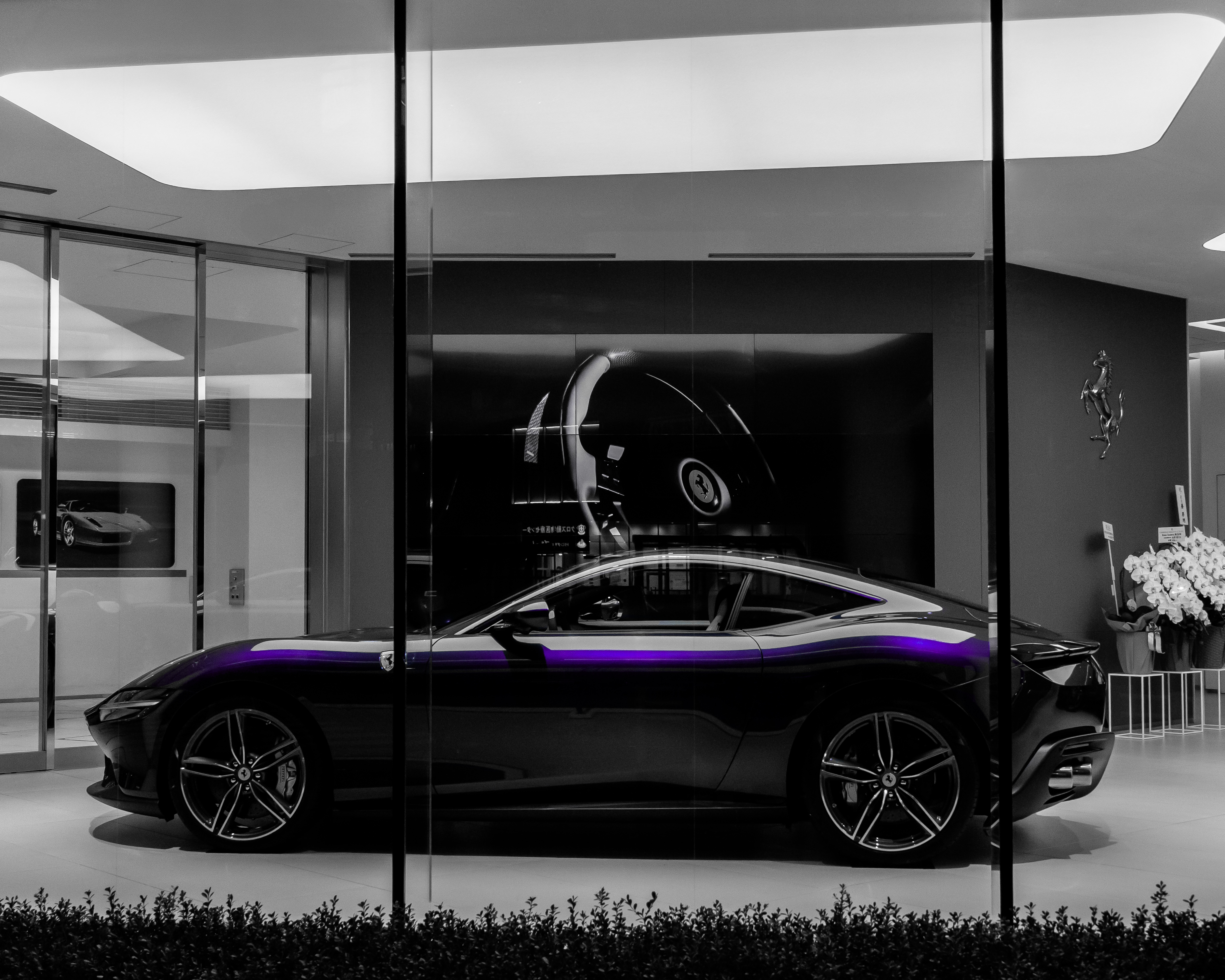 Photography showcase