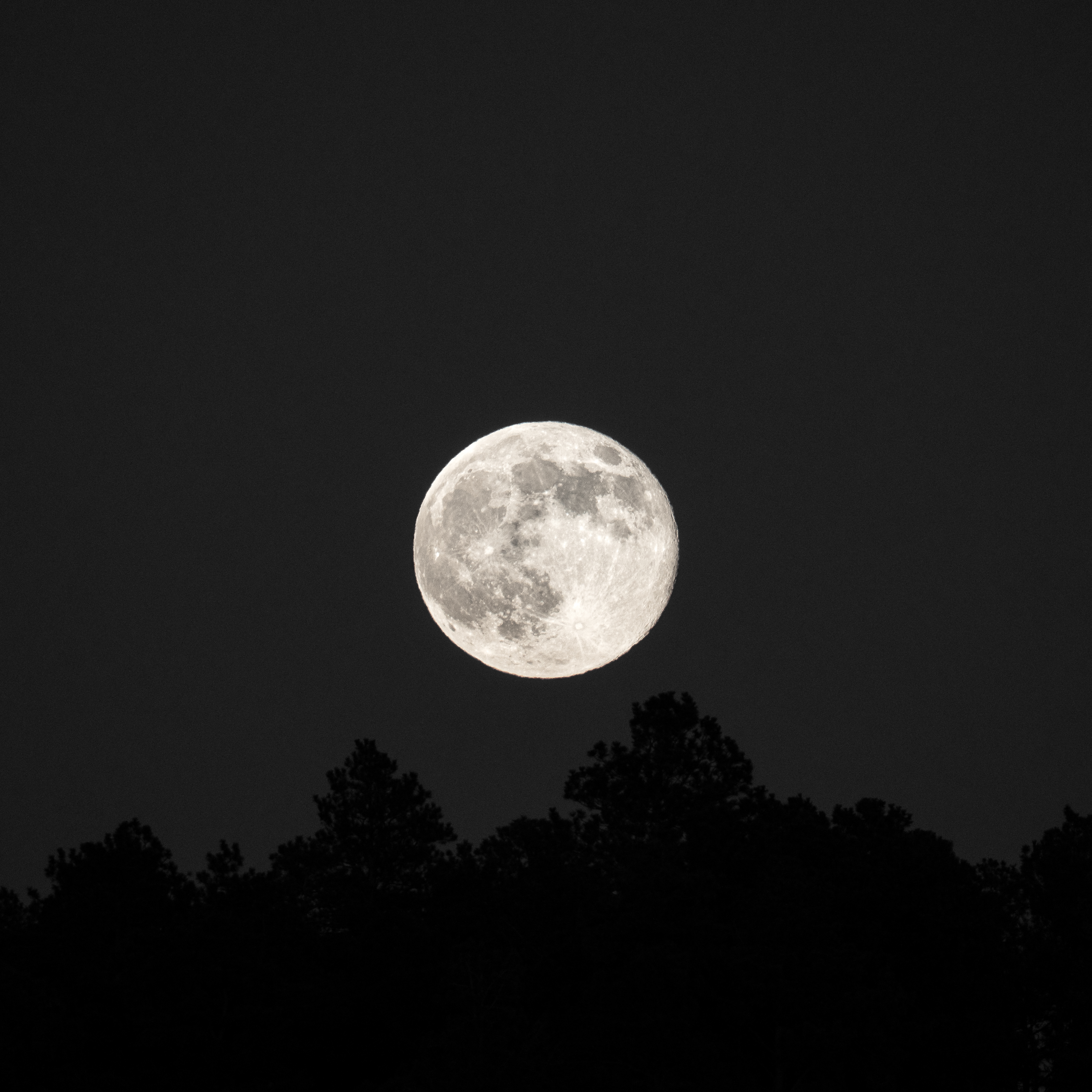 Creative composition